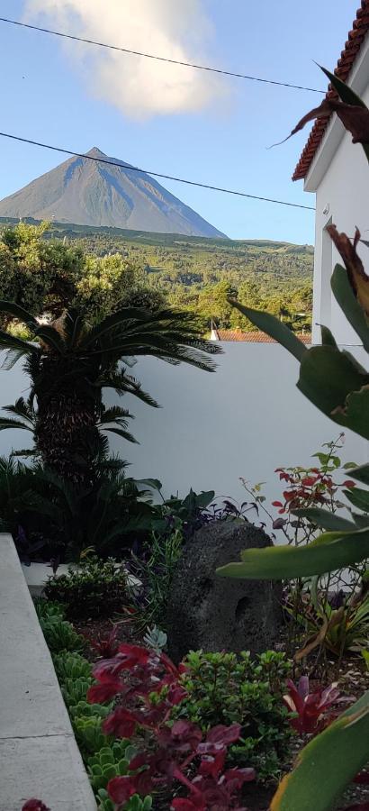 Casa Da Avo Biza Villa Sao Roque do Pico Bagian luar foto