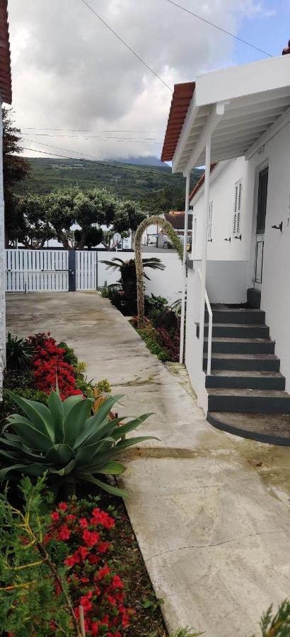 Casa Da Avo Biza Villa Sao Roque do Pico Bagian luar foto
